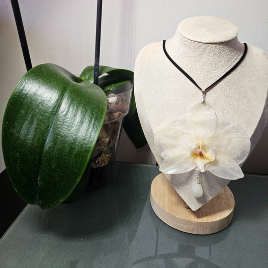 Colgante Orquídea Blanca