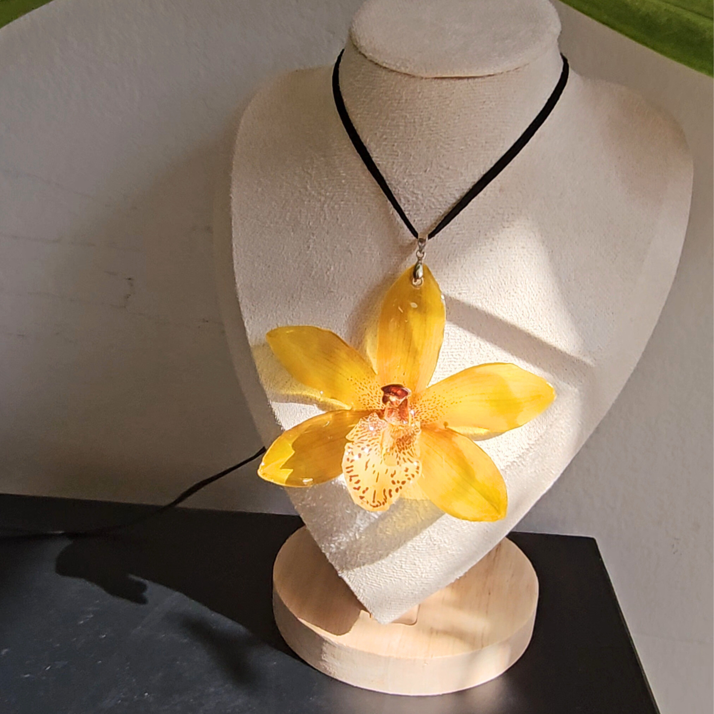 Cymbidium Golden Glow
