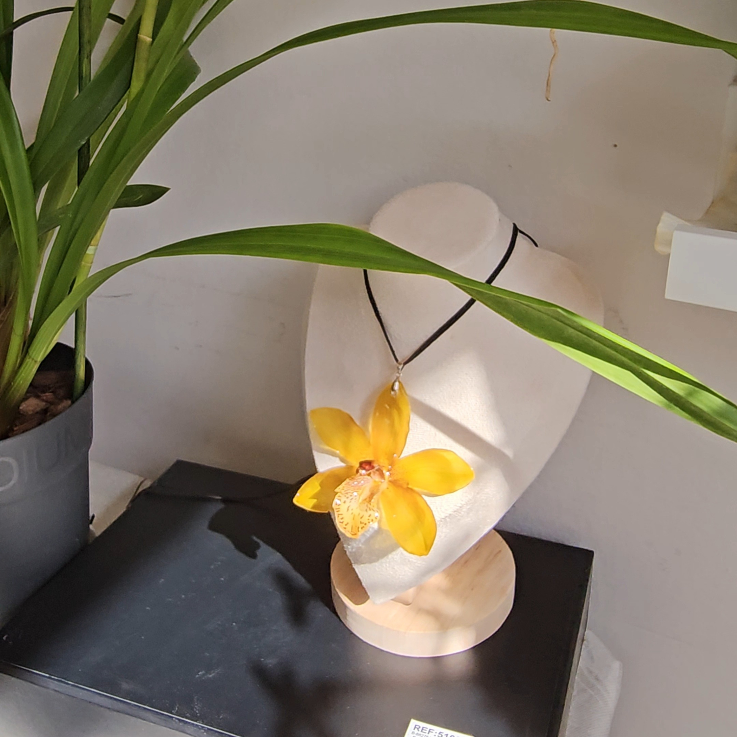 Cymbidium Golden Glow