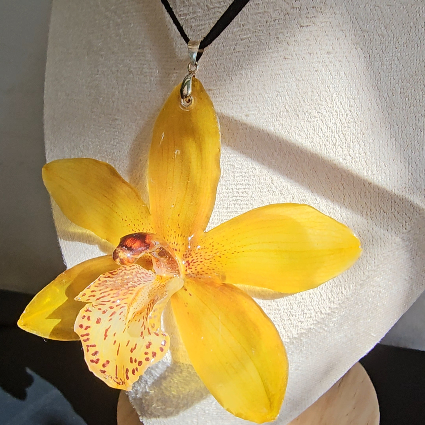 Cymbidium Golden Glow