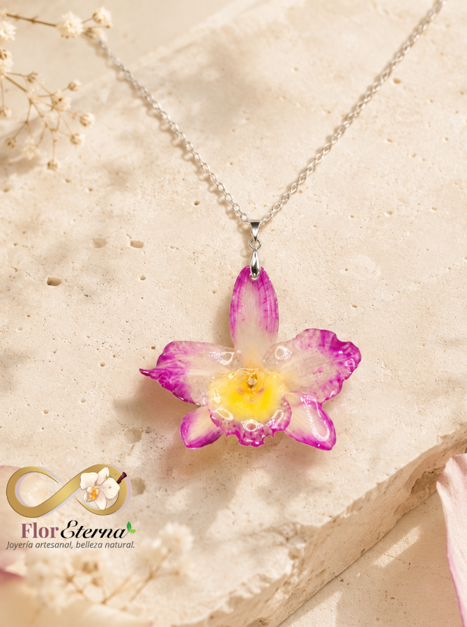 Collares