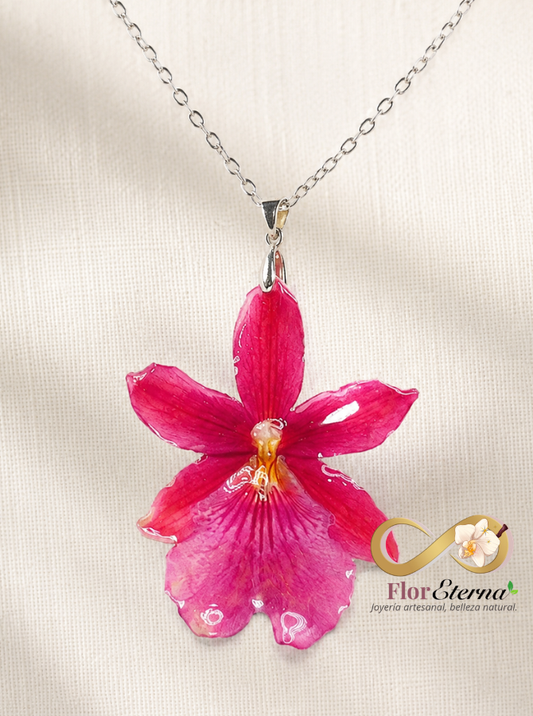 Collar Miltonia Rubelita