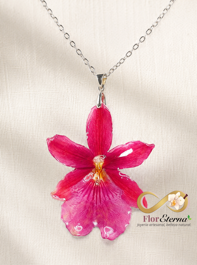 Collar Miltonia Rubelita