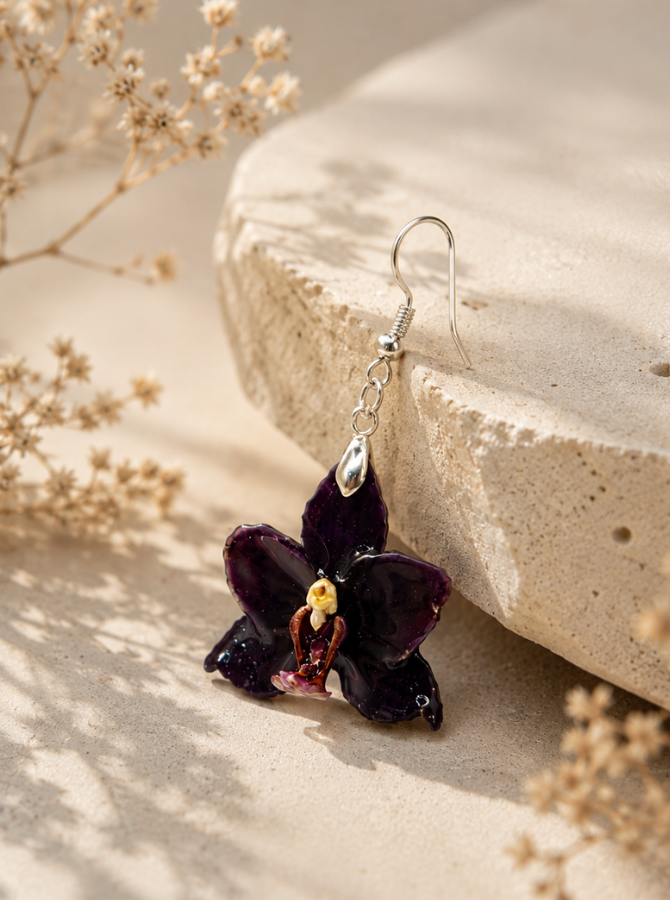 Mini Phalaenopsis Obsidiana