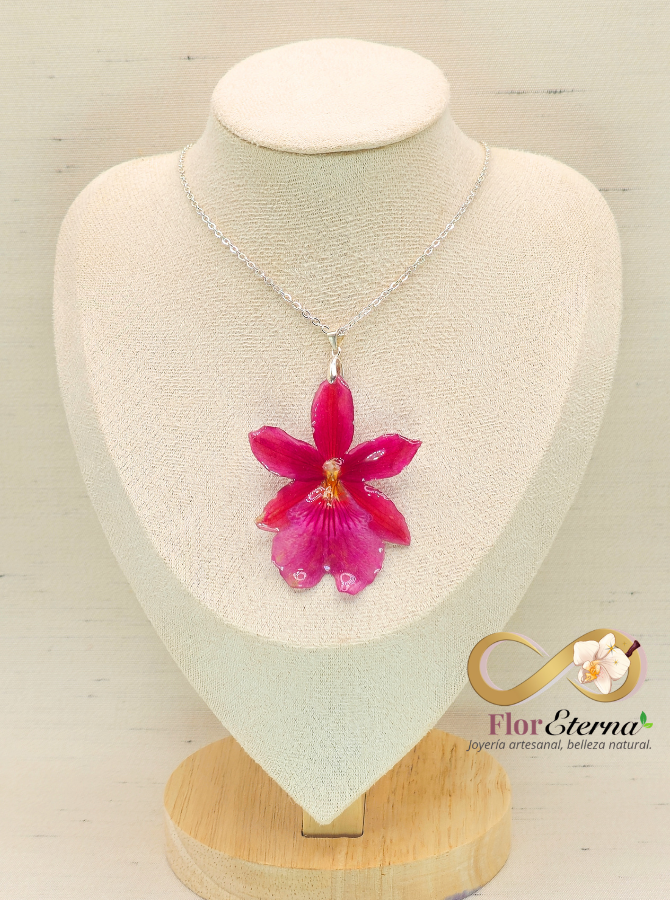 Collar Miltonia Rubelita