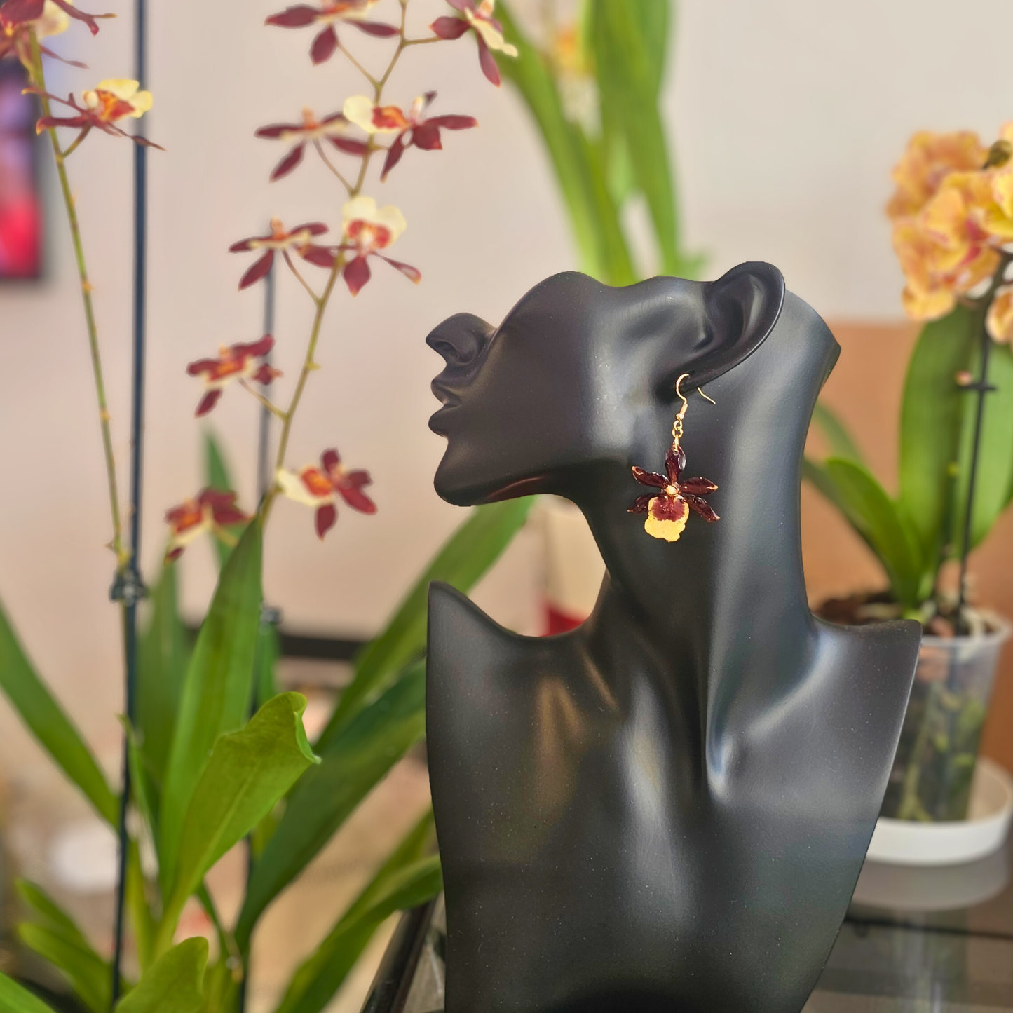 Pendientes Orquídea Chocolate Dorada🤎💛