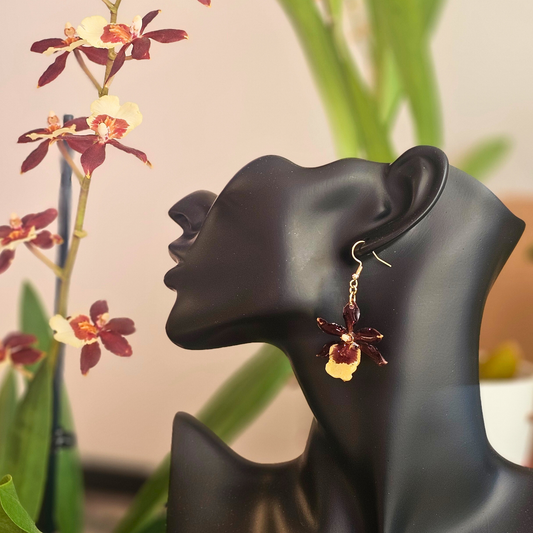 Pendientes Orquídea Chocolate Dorada🤎💛