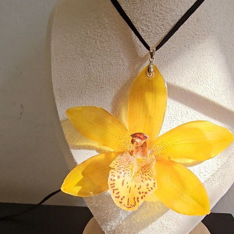 Collar Cymbidium Golden Glow — Orquídea Natural Dorada Preservada