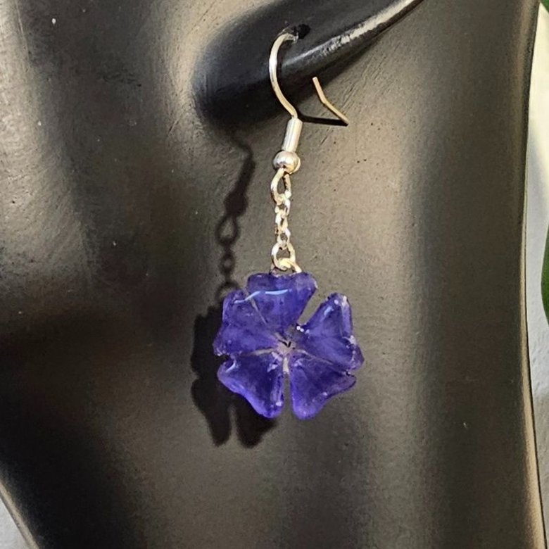 Pendientes de Cerato Azul — Flor Natural Preservada